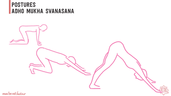 adho mukha svanasana copy