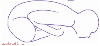 Le Temps d’une Respiration… Baddha Konasana