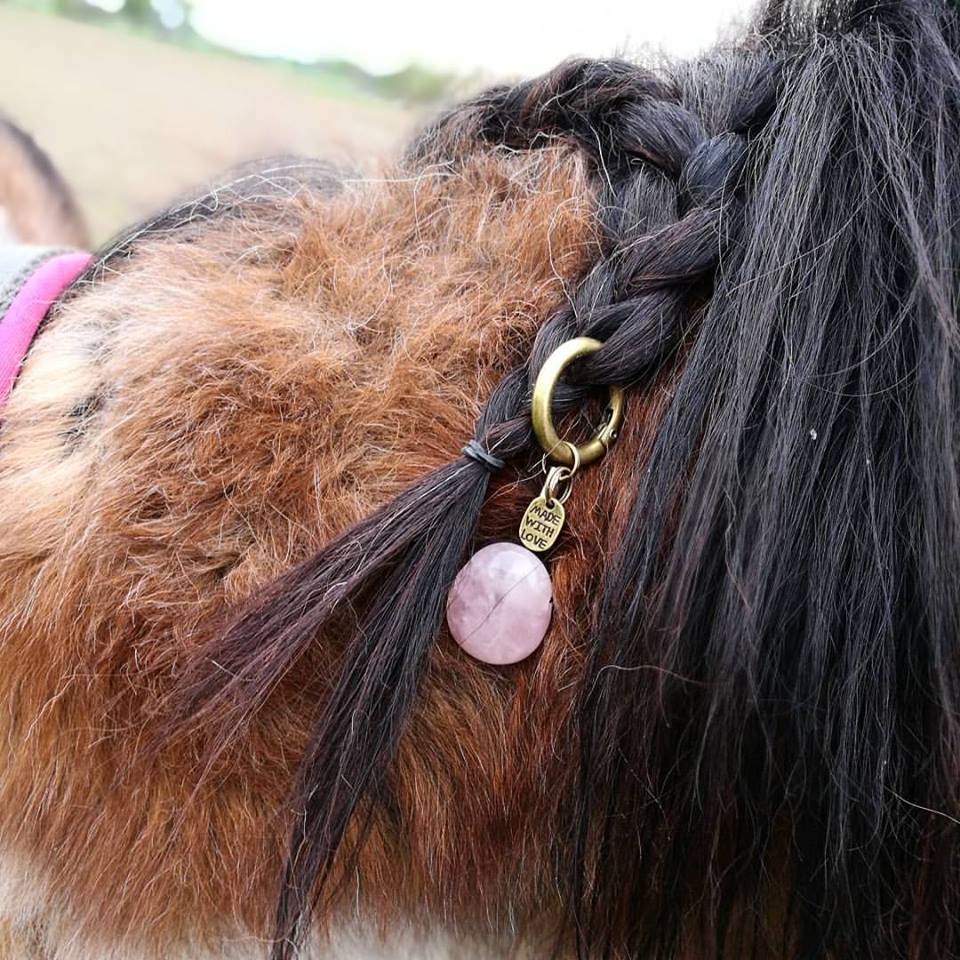 Horse Remedy, des produits pour chevaux 100% naturels