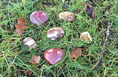 A la rencontre des Pierres … Le bois fossilisé