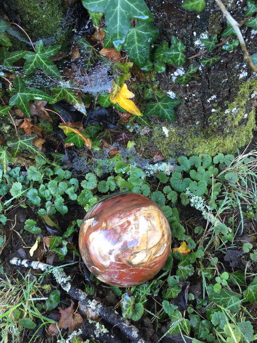 Bois fossilisé