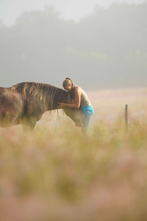 Formation bien être équin module émotions