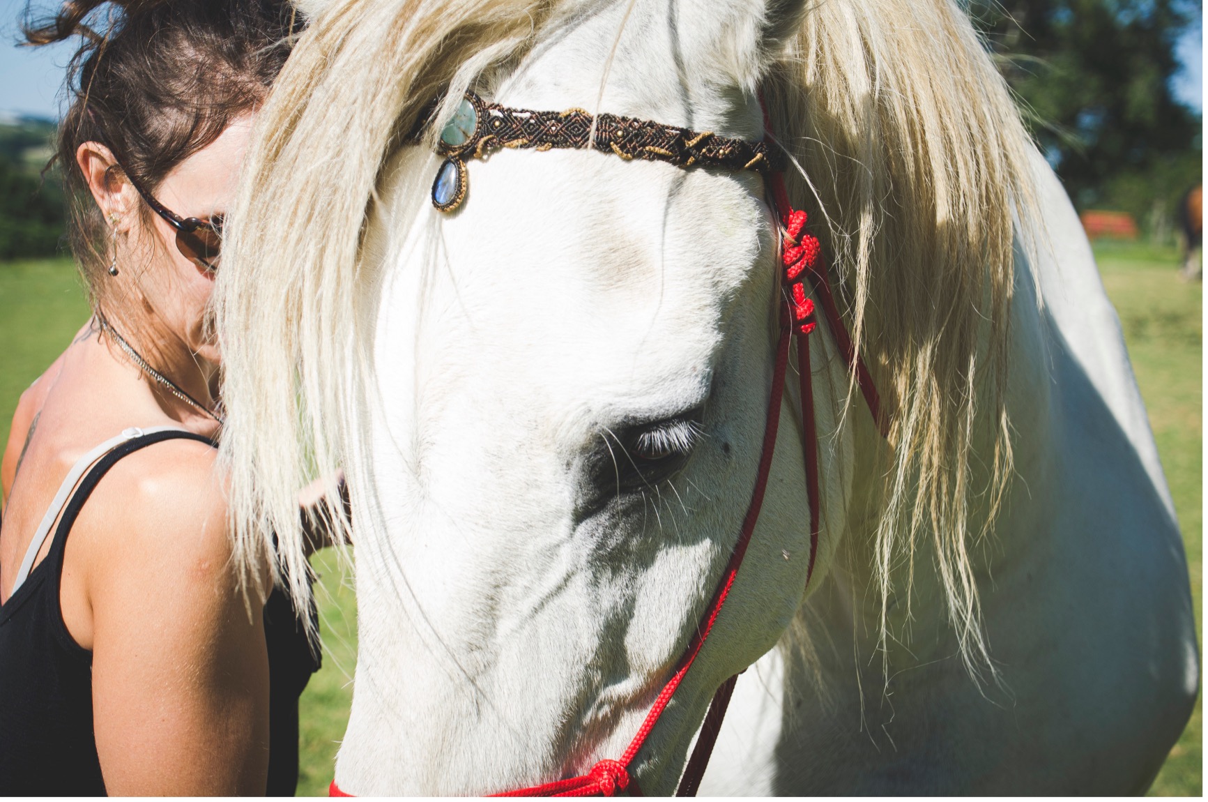 La Lithothérapie pour les chevaux : pourquoi l’utiliser ?